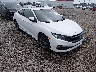 2HGFC3B32KH****** Salvamento y Destrozados 2019 Honda Civic en Lafayette