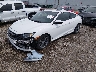 2HGFC3B32KH****** Usados y Reparables 2019 Honda Civic en Lafayette