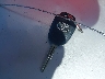 4T1BF1FK1EU****** Salvamento 2014 Toyota Camry en Estado de Nueva York