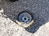 00000026695****** Wrecked 2004 Glastron Carlson in Maine State
