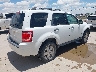 1FMCU9D72BK****** Salvamento y Destrozados 2011 Ford Escape en Estado de Texas
