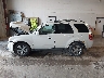 1FMCU9EG7AK****** Repairable 2010 Ford Escape in Michigan State