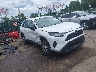 2T3F1RFV2NC****** Salvage and Wrecked 2022 Toyota RAV4 in Baltimore