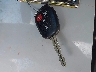 5YFBURHE5EP****** Salvage 2014 Toyota Corolla in New Jersey State