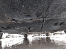 JTDHPRAE6LJ****** Salvage and Wrecked 2020 Toyota Corolla in Austin