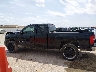 2GCEC19J981****** Salvamento 2008 Chevrolet Silverado 1500
