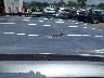 2LMDJ6JK7BB****** Salvamento y Reparables 2011 Lincoln MKX en Estado de Illinois