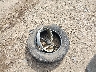 KL7CJNSB6LB****** Wrecked 2020 Chevrolet Trax in Minnesota State
