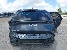 5XYK53AF1PG****** Salvage and Repairable 2023 Kia Sportage in Florida State