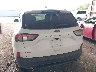 1FMCU0G68MU****** Wrecked 2021 Ford Escape