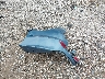 5NPE34AF6FH****** Wrecked 2015 Hyundai Sonata in Texas State