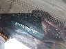 3KPF24AD0RE****** Used 2024 Kia Forte in Flint