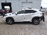 JTJDARDZ2L5****** Salvage 2020 Lexus NX 300