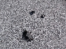 JTJDARDZ2L5****** Wrecked 2020 Lexus NX 300 in Illinois State