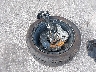 1FAGP8UH5T5****** Wrecked 2026 Ford Mustang in Florida State
