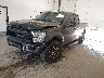 1FTFX1EF8FK****** Used and Repairable 2015 Ford F-150 in Flint
