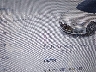 5YJSA1E15GF****** Wrecked 2016 Tesla Model S