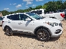 5XYZUDLB1HG****** Usados 2017 Hyundai Santa Fe en Estado de Carolina del Norte