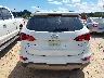 5XYZUDLB1HG****** Destrozados 2017 Hyundai Santa Fe