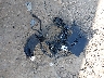 SJKCH5CP1HA****** Wrecked 2017 Infiniti QX30 in Texas State