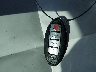 1N4AA5AP8EC****** Salvage 2014 Nissan Maxima in Arkansas State