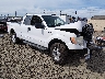 1FTFX1EV5AK****** Salvage and Wrecked 2010 Ford F-150 in Eugene