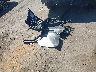 WA1C4AFY0J2****** Destrozados 2018 Audi SQ5 en Estado de Virginia