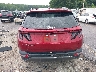 5NMJE3DE4RH****** Destrozados 2024 Hyundai Tucson