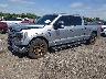 1FTFW1ED9NF****** Usados y Reparables 2022 Ford F-150 en Elkton