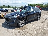 1FMCU9J96MU****** Usados y Reparables 2021 Ford Escape en South Bend