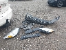 1FMCU9G94GU****** Wrecked 2016 Ford Escape in Massachusetts State