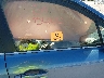 JF2SJAUC5FH****** Used and Repairable 2015 Subaru Forester in New Mexico State