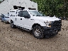 1FTEX1C83HK****** Salvamento y Destrozados 2017 Ford F-150 en Burlington