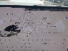 5YJ3E1EA3MF****** Salvage 2021 Tesla Model 3 in Atlanta South