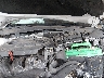 5XXGT4L35KG****** Repairable 2019 Kia Optima in Chattanooga
