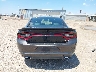 2C3CDXBG5LH****** Usados 2020 Dodge Charger
