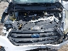 1FMCU0F72KU****** Repairable 2019 Ford Escape in West Palm Beach