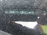 1HGCY1F25PA****** Wrecked 2023 Honda Accord