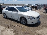 1N4AA5AP3DC****** Salvage and Wrecked 2013 Nissan Maxima in Wichita