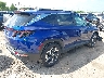 5NMJF3DE5RH****** Salvamento y Destrozados 2024 Hyundai Tucson en Estado de Texas