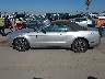 1ZVBP8EM9C5****** Reparables 2012 Ford Mustang
