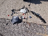5J6RW2H97KL****** Wrecked 2019 Honda CR-V in Illinois State