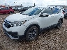 2HKRW1H86MH****** Used and Repairable 2021 Honda CR-V in Corpus Christi