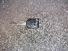 2HGFG12858H****** Salvage 2008 Honda Civic in Georgia State