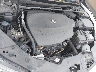 19UUB2F36FA****** Reparables 2015 Acura TLX en Long Island