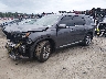 5FNYG1H43SB****** Usados y Reparables 2025 Honda Pilot en Savannah
