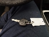 2T1BURHE8EC****** Salvage 2014 Toyota Corolla in Tennessee State