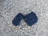 JF2SJAGC0GH****** Wrecked 2016 Subaru Forester in Texas State