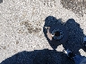 WBAPK5C54BF****** Wrecked 2011 BMW 3 Series in Missouri State