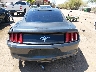 1FA6P8AM4F5****** Salvamento 2015 Ford Mustang